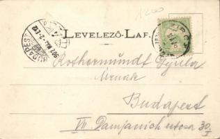 Zirc, Dr. Tóth Endre-villa, Dr. Kemény Pál lakháza