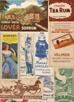 31db számolócédula+ital és szálloda cimkék