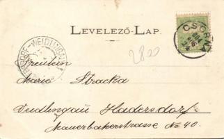 Csorna Palotasor, Kokas Jenő áruháza, Kohn Mór kereskedése