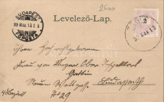 1899 Cegléd, floral