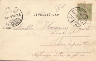 Diósd, Katolikus templom, községháza