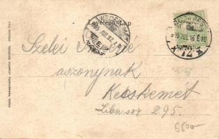 Gödöllő Erzsébet-szobor, zászló, litho