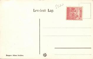 Üllő, Cornelia gőzmalom, Bergner Miksa kereskedése