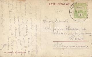 Dunaszentgyörgy, Schwarz Szilárd üzlete, Ferenczy-kastély