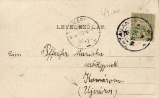 Felsőgalla szénbánya, Gróf Teleki-akna