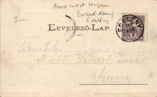 Edelény, Coburg-kastély, Ferenc József tér, floral