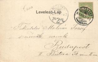 Kaposvár Erzsébet tér, floral