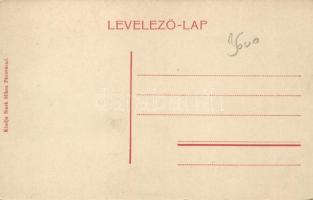 Pécsvárad Piactér, Stark Benedek áruháza