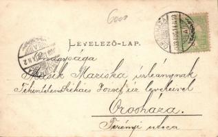 Gyopárosfürdő vendéglői pavilon