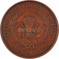 ~1900. "Torontálmegyei Gazdasági Egyesület - Az Érdem Jeléül" Br emlékveret. (45mm) T:2,2-...