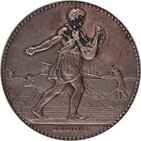 Franciaország ~1900. "Mezőgazdasági Minisztérium - Tudományos munkáért" adományozott Ag emlékérem, peremén jelzéssel. Szign.: J. Lagrange (36.53g/40.5mm) T:2 France ~1900. "Ministry of Agriculture - Scientific Work" commemorative Ag medallion, with mark on edge. Sign: J. Lagrange (36.53g/40.5mm) C:XF