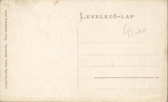 Jászberény Apponyi tér, városháza, Lengyel I. Flóris, Lefkovits S. Sámuel üzletei, húscsarnok, piac ...