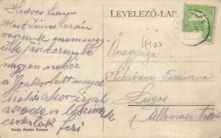 Jánoshida Fischer Herman üzlete és lakása, főjegyző lakása, kastély, templom