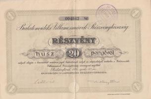 Balatonfüred 1926. "Balatonvidéki Villamosművek Részvénytársaság" részvény 20P-ről szelvényekkel T:II