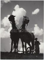 cca 1960 Botta Ferenc (1919-1968): Szántó-vető. Vintage fotó, publikálva a Fotolexikon 1963-as kiadásában, 24,5x18cm