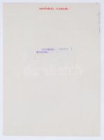 cca 1930 Kerny István (1879-1963) Kertészeti vízművek (Zuglóban) c. vintage fotóművészeti alkotása, ...