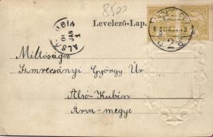 Nyíregyháza városháza, címer, Emb. (EK)