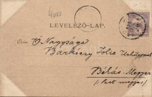 Nagykáta Erzsébet királyné utca, iskola, floral