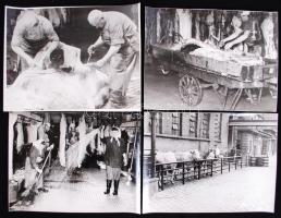 cca 1970 Kotnyek Antal (1921-1990): képriport a budapesti vágóhídról, 13db 18x24cm-es fotó
