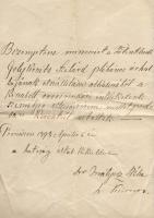 Pomázi hullaszállításasal kapcsolatos irat