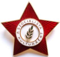 ~1970. "A Szocialista Kultúráért" zománcozott kitüntetés dísztokban T:1