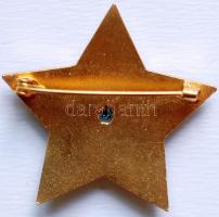 ~1970. "A Szocialista Kultúráért" zománcozott kitüntetés dísztokban T:1