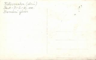 Piliscsaba, villa, photo