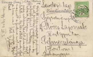 Senj, Zengg; flag inauguration, photo