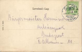 Baja téli kikötő, zászló, litho (kis szakadás / small tear)