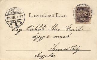 Pápa, Mátyás király vadászkastélya (EK)