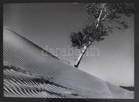 1969 Dezső Pál: Homokbucka. Vintage fotó, feliratozva, kiállítási emlékpecséttel, 30x40 cm