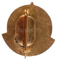 ~1960. "Tatabányai Aluminiumkohó Hűségért" zománcozott jelvény T:1