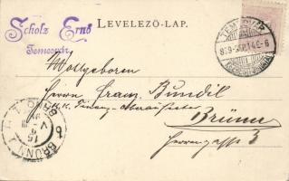 1899 Temesvár Losonczy tér, szerb templom / square, Serbian church