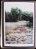 Willy Lange - Otto Stahn: Gartengestaltung der Neuzeit. Mit 320 in den Text gedruckten Abb., 16 bunt...