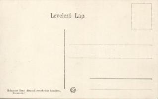 Kolozsvár Szamos riverside