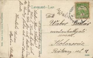 Marosvásárhely Széchenyi tér, Kossuth park / square, park (EK)