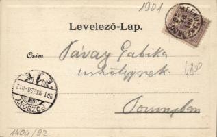 Herkulesfürdő dudások / pipe band, folklore