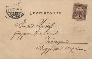 Nagyszalonta Arany museum interior