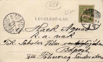 Gyulafehérvár Hotel Europa, floral (EK)