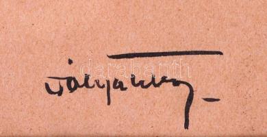 Pólya Tibor (1886-1937): A jóképű fiatalember. Vegyes technika, papír, jelzett, keretben 25×18 cm