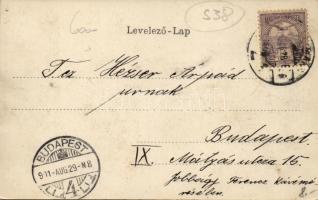 Szatmár Városi kioszk, floral, litho