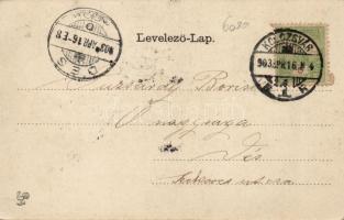 Kolozsvár park, floral litho