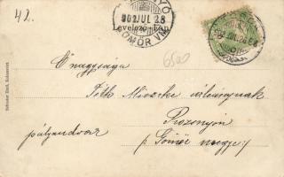 Kolozsvár park, floral litho