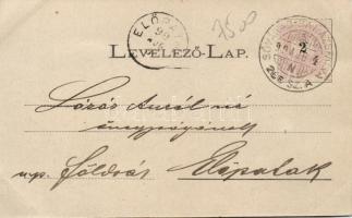 Dicsőszentmárton; Kisküküllő-völgyi helyiérdekű vasút megnyitása / railroad line opening, floral