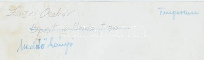 cca 1970 Zsigri Oszkár: Meddőhányó. Vintage fotó, feliratozva, 18x24cm