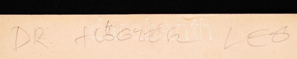 1888 Dr. Szőgyén Leó: Vulcano. Vintage fotó, celloidin,kartonra kasírozva, jelzett, hátoldal felirat...