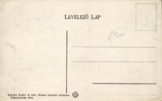 Buziásfürdő swimming pool