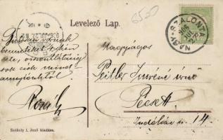 Nagyszalonta artézi kút, Kertész-üzlet, Medgyaszay kereskedése, gyógyszertár / fountain, shops, phar...