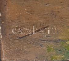 Pállya Celesztin (1864-1948):Vásári jelenet. Olaj, fa, jelzett, 12×17 cm