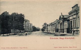 Nagykároly, street